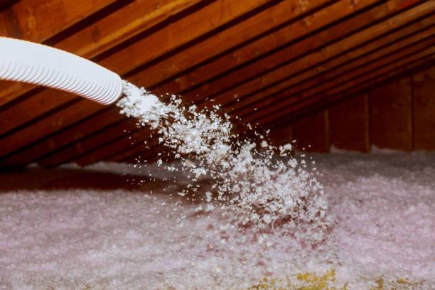 Best Insulation Maintenance and Repair in Hico, TX